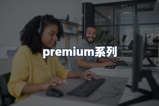 premium系列